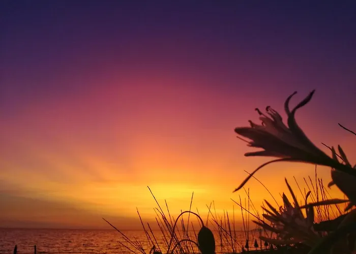 住宿加早餐酒店 Dimora Degli Ulivi 卡普里奥里