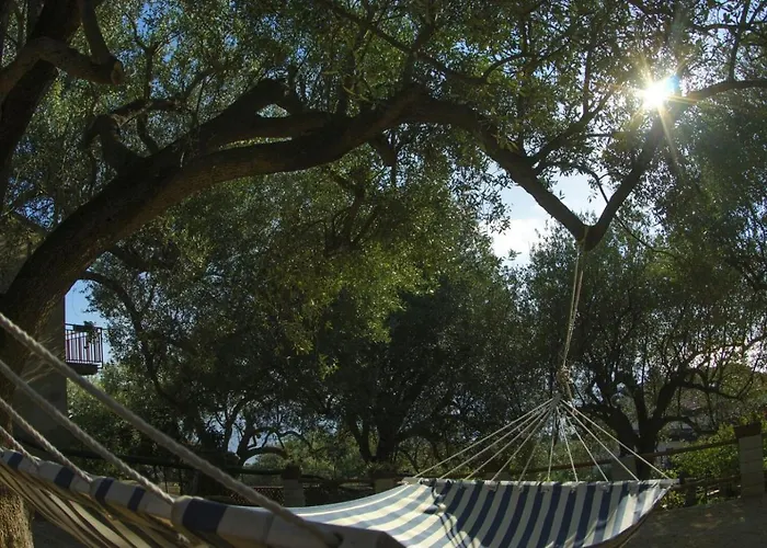 Dimora Degli Ulivi 4*