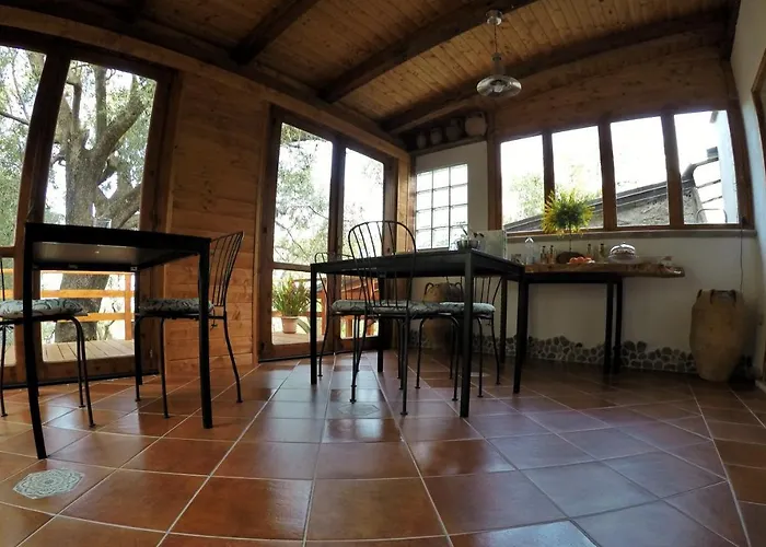 Dimora Degli Ulivi 住宿加早餐酒店 卡普里奥里