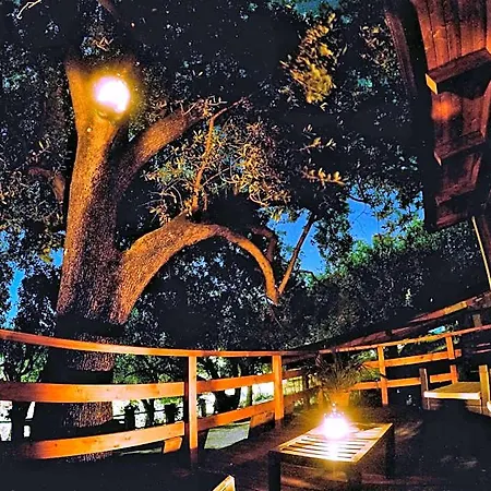 Dimora Degli Ulivi 住宿加早餐酒店 4*
